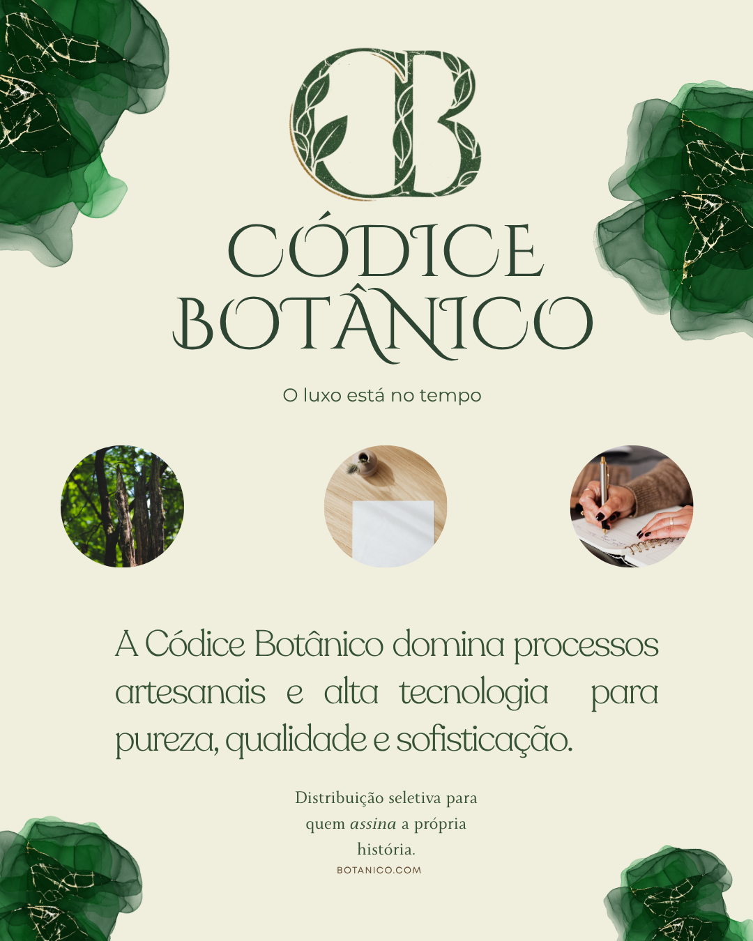 Trabalho Códice Botânico